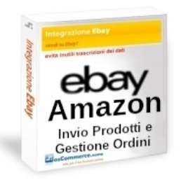 Servizi Informatici Progettazione e messa online Struttura Web, eBay ed Amazon Infiniti Prodotti, Server Personale Solo Propria Struttura + Manuntenzione Inclusa DDMMAA-DDMMAA